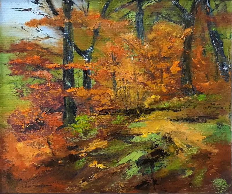 Aira Force Autumn Walk